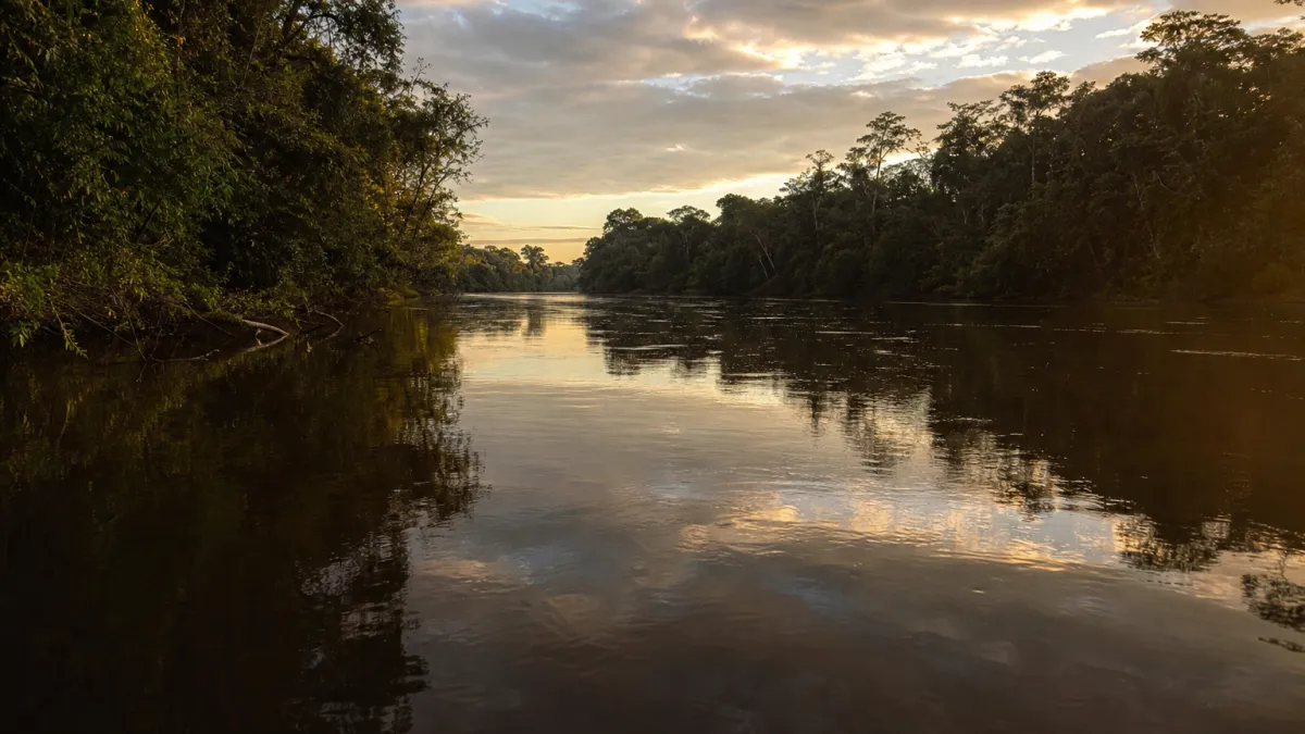 Le fleuve Amazone : secrets et chiffres du géant mondial
