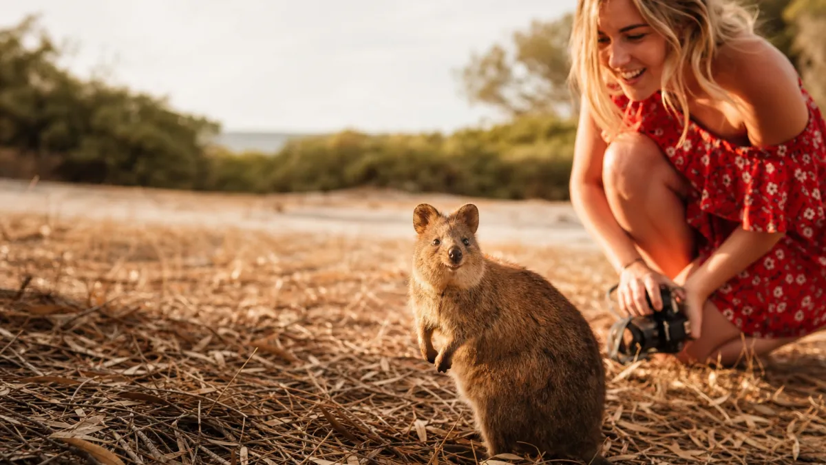 Animal en Q : la liste complète des espèces surprenantes